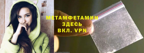 ПСИЛОЦИБИНОВЫЕ ГРИБЫ Абаза