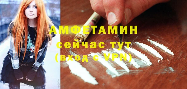 ПСИЛОЦИБИНОВЫЕ ГРИБЫ Абаза