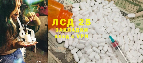 ПСИЛОЦИБИНОВЫЕ ГРИБЫ Абаза
