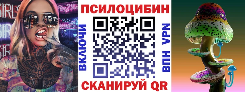 купить   Абдулино  Псилоцибиновые грибы Psilocybine cubensis 